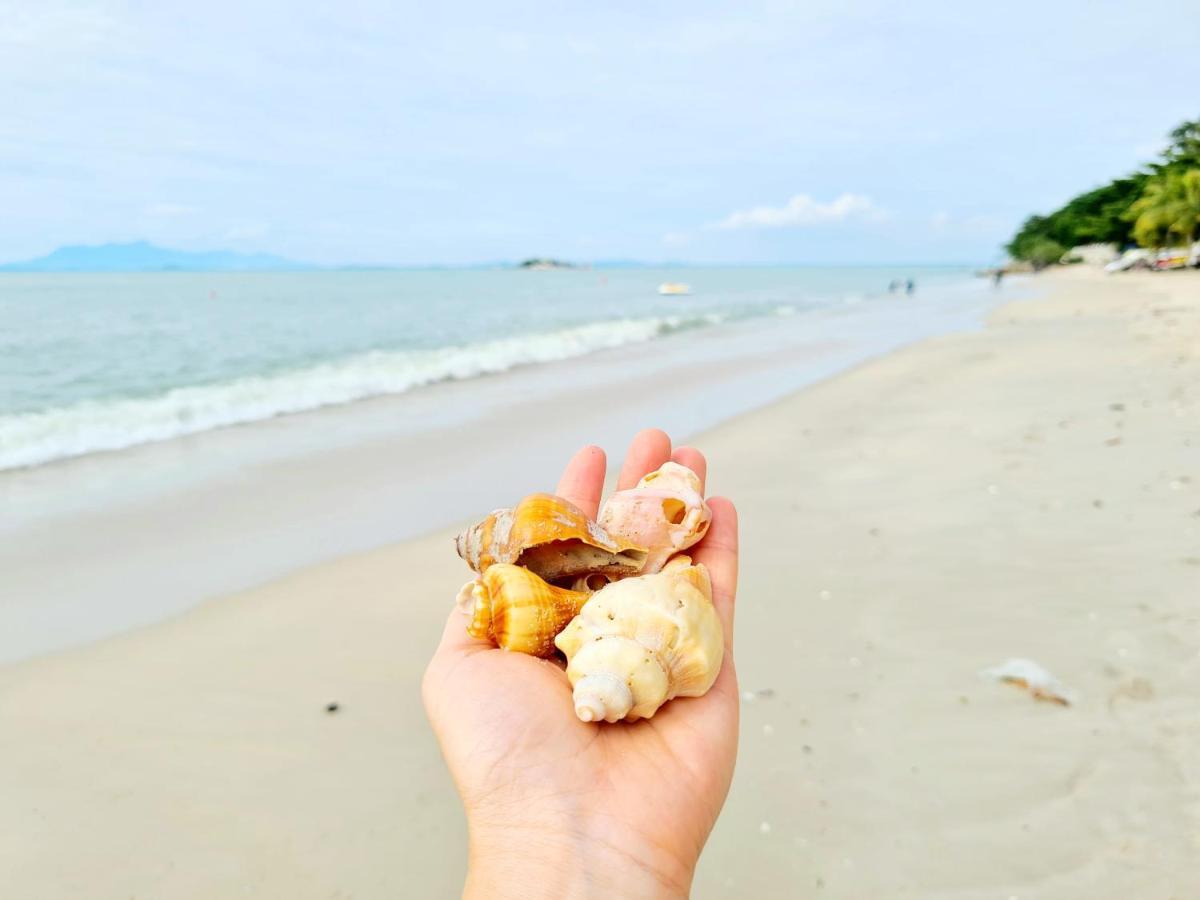 527 Beachhouse L 5 Bedroom With Swimming Pool - 3Min Walk To The Beach 탄중붕가 외부 사진